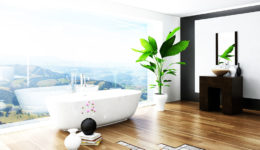 traviata-bg2